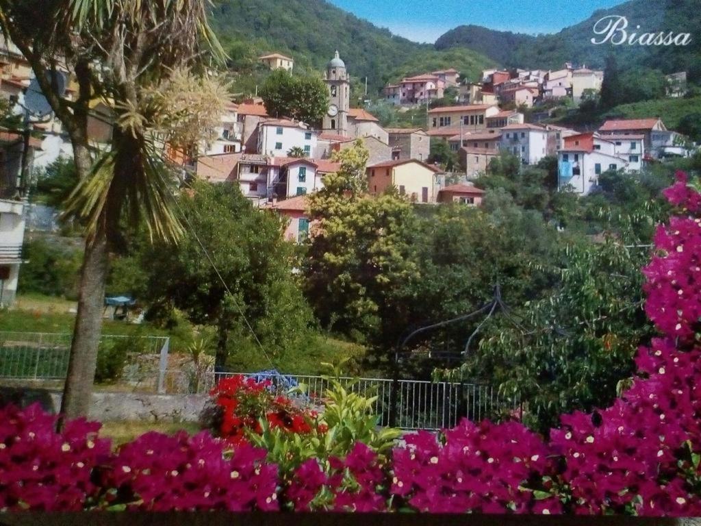 Casa Caterina Apartment La Spezia Bagian luar foto
